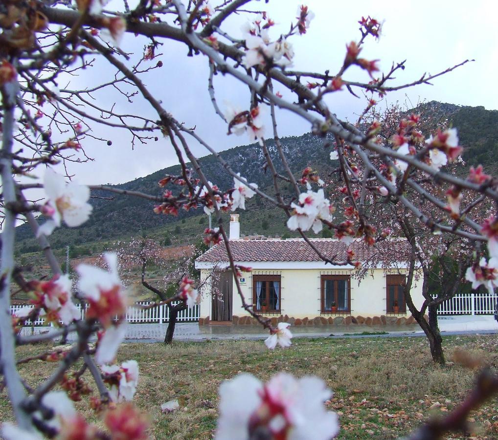 Huéscar Vivienda Rural Embalse San Clemente 게스트하우스 외부 사진